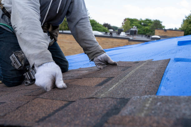 Best Flat Roof Repair Services  in Jekyll Island, GA